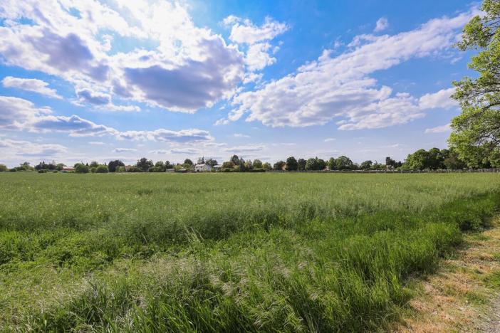 Prodej komerčního pozemku, Plzeň - Doudlevce, 11768 m2