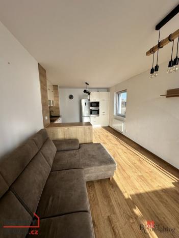 Pronájem bytu 2+kk, Plzeň - Severní Předměstí, Na Chmelnicích, 62 m2