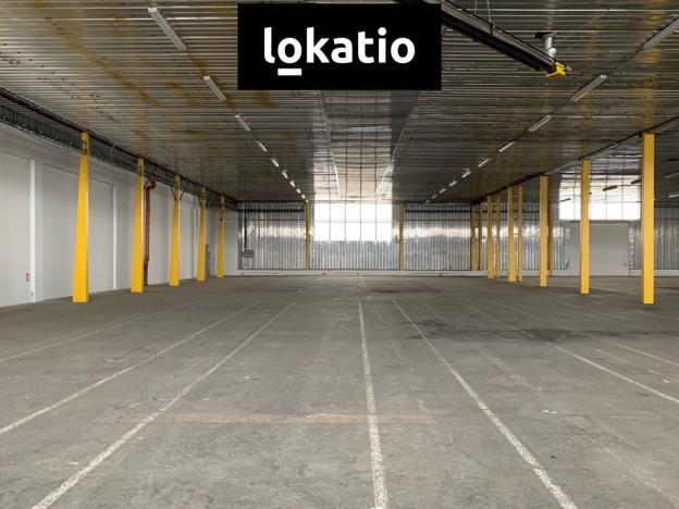 Pronájem skladu, Kutná Hora, Hrnčířská, 4894 m2