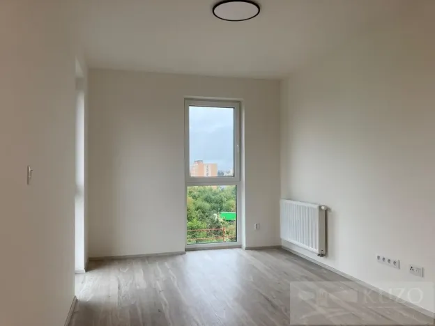 Pronájem bytu 1+kk, Plzeň, Goldscheiderova, 34 m2