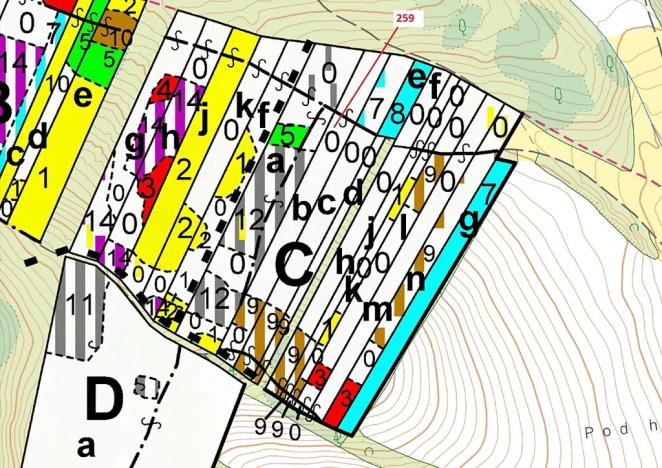 Dražba lesa, Vícenice, 6645 m2