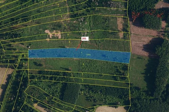 Dražba lesa, Loukovice, 7796 m2