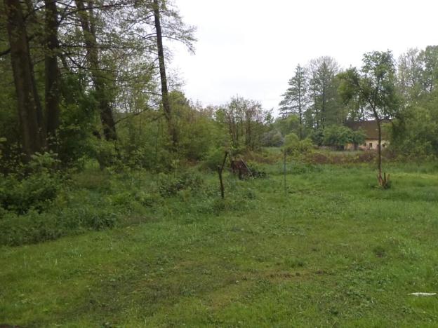 Dražba louky, Vlčice, 1387 m2