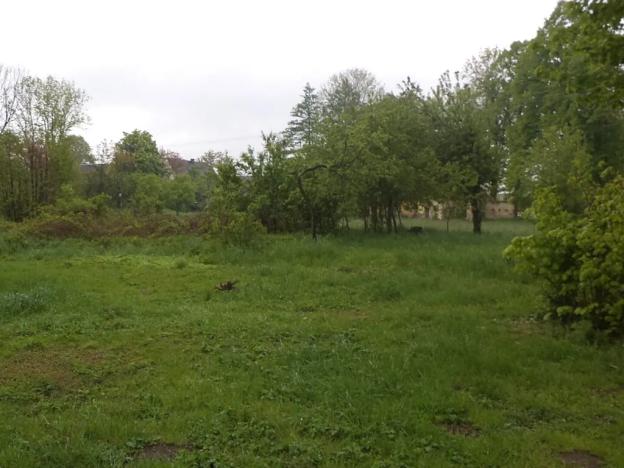 Dražba louky, Vlčice, 1387 m2