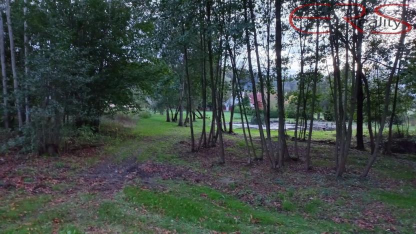 Prodej komerčního pozemku, Běleč, 945 m2