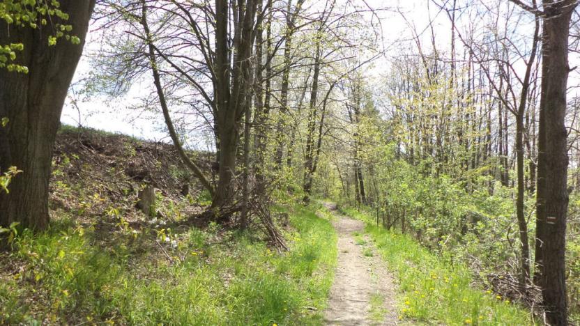 Prodej pozemku, Vítkov, 5357 m2