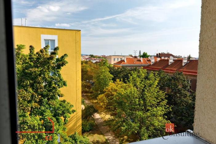 Pronájem bytu 2+1, Plzeň - Východní Předměstí, Táborská, 54 m2