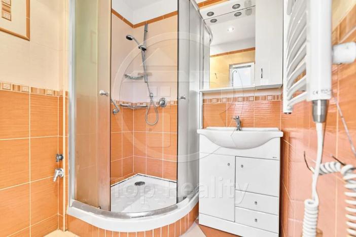 Prodej bytu 3+1, Chodov, U Koupaliště, 67 m2