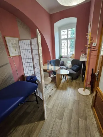 Pronájem obchodního prostoru, Plzeň, sady 5. května, 15 m2