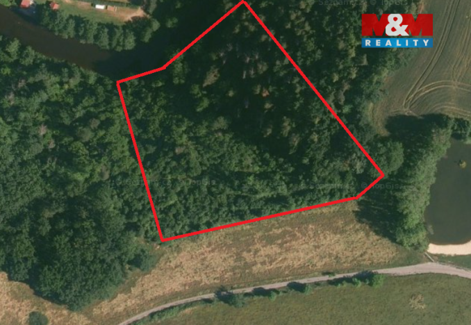 Prodej lesa, Římov - Branišovice, 9271 m2