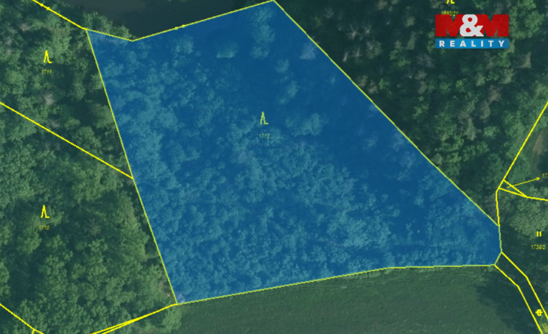 Prodej lesa, Římov - Branišovice, 9271 m2