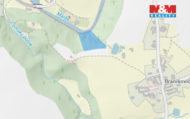 Prodej lesa, Římov - Branišovice, 9271 m2