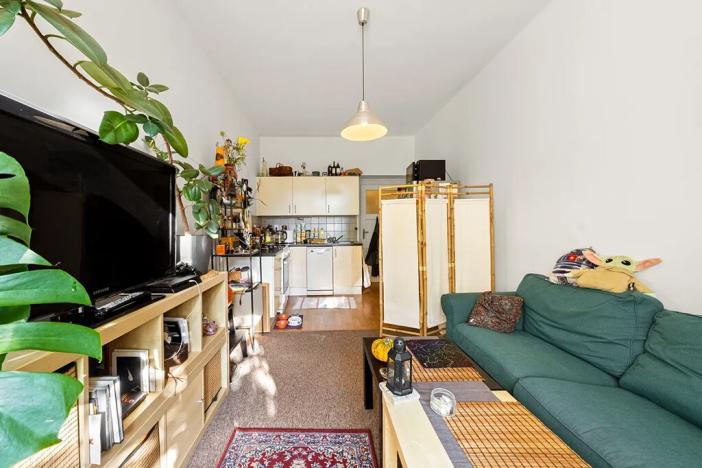 Prodej bytu 2+kk, Praha - Žižkov, Hartigova, 51 m2