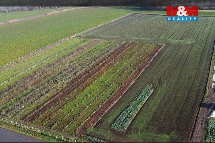 Prodej pole, Nové Dvory, 9979 m2