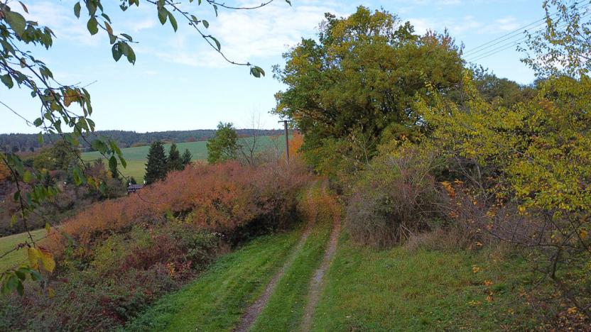 Prodej chaty, Černé Voděrady, Dolina, 52 m2