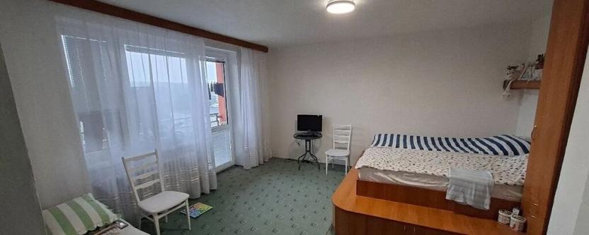 Prodej bytu 1+1, Plzeň, Motýlí, 37 m2