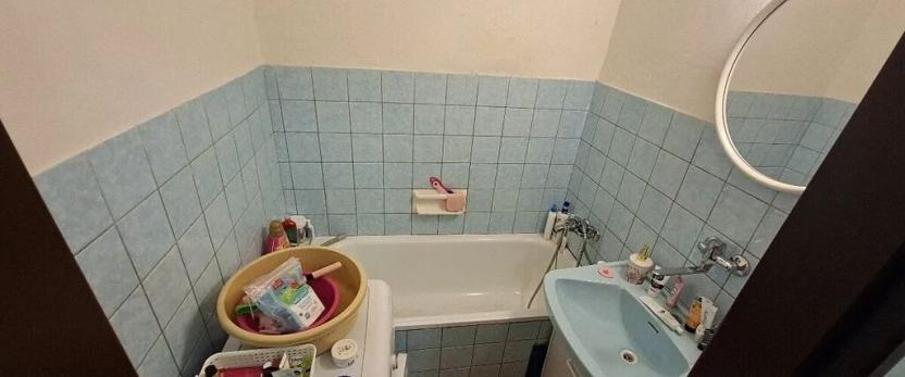 Prodej bytu 1+1, Plzeň, Motýlí, 37 m2