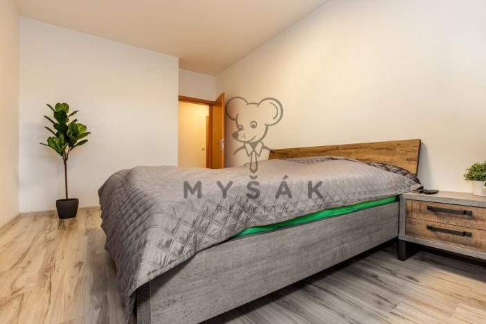 Pronájem bytu 3+kk, České Budějovice - České Budějovice 3, Riegrova, 80 m2