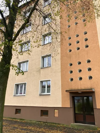 Prodej bytu 2+1, Ostrov, Kollárova, 50 m2
