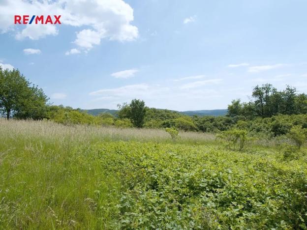 Prodej louky, Štěchovice, 4332 m2