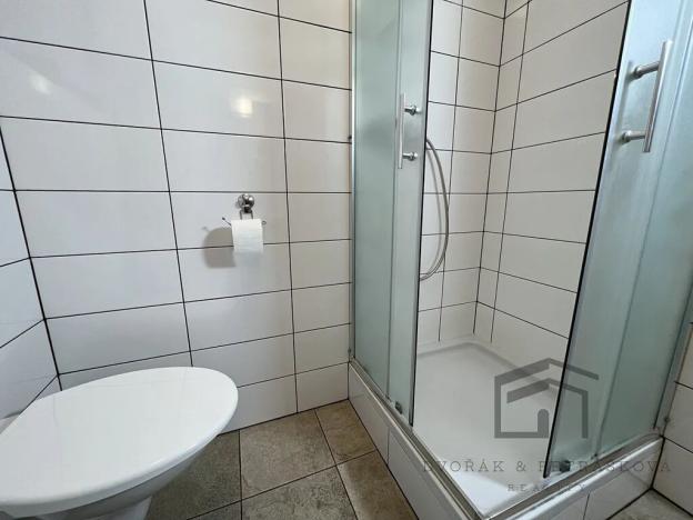 Pronájem bytu 1+kk, Praha - Nusle, U křížku, 31 m2