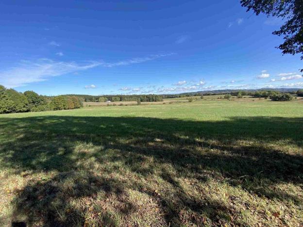 Prodej pole, Nový Rychnov - Čejkov, 7207 m2