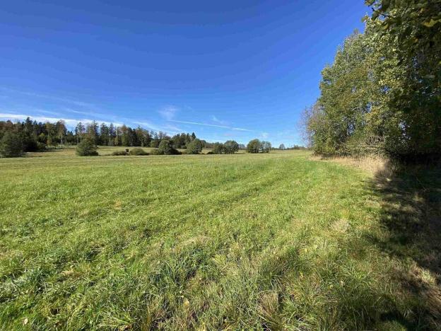 Prodej pole, Nový Rychnov - Čejkov, 7207 m2