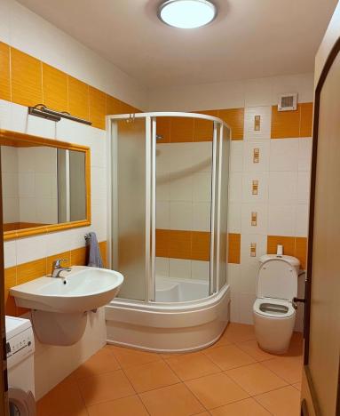 Pronájem rodinného domu, Trnová, 198 m2