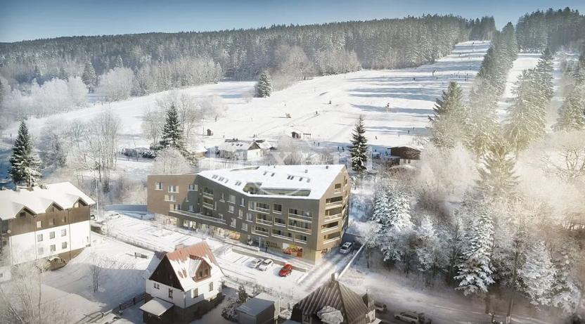 Prodej bytu 2+kk, Železná Ruda, 65 m2