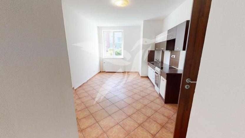 Pronájem bytu 1+1, Plzeň, Křimická, 51 m2