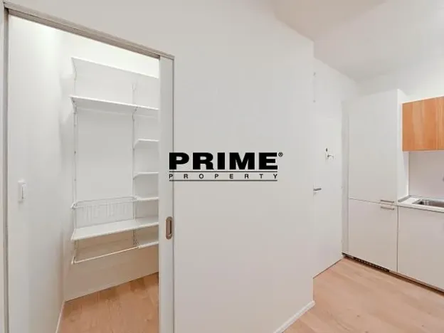 Pronájem bytu 2+kk, Praha - Vinohrady, Lucemburská, 50 m2