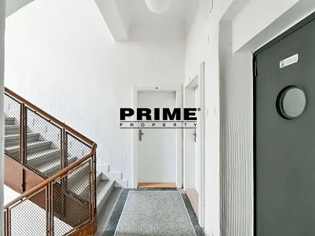 Pronájem bytu 1+kk, Praha - Vinohrady, Lucemburská, 30 m2