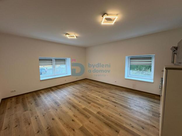 Pronájem bytu 1+kk, Doloplazy, 45 m2