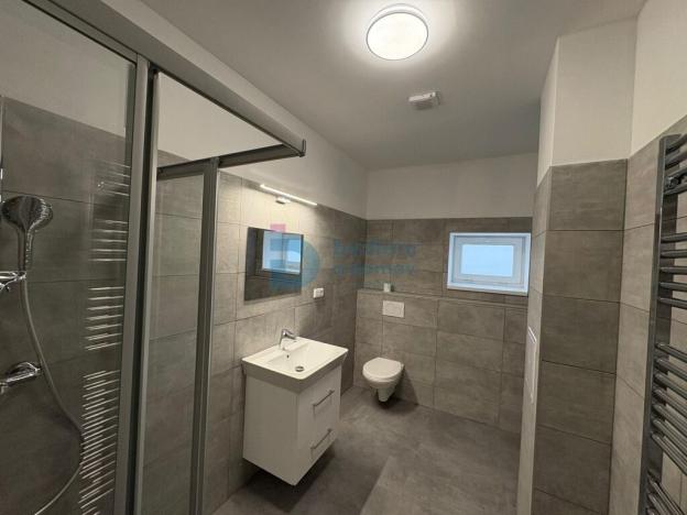 Pronájem bytu 1+kk, Doloplazy, 45 m2