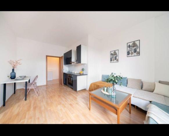 Pronájem bytu 2+kk, Praha - Žižkov, Husinecká, 48 m2