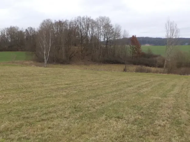 Dražba louky, Srby, 19946 m2