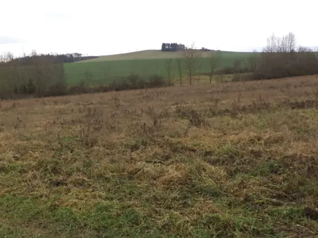 Dražba louky, Srby, 19946 m2