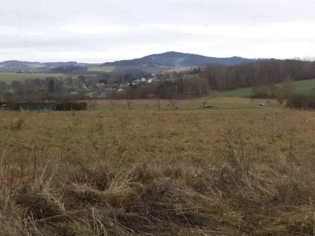 Dražba louky, Srby, 19946 m2