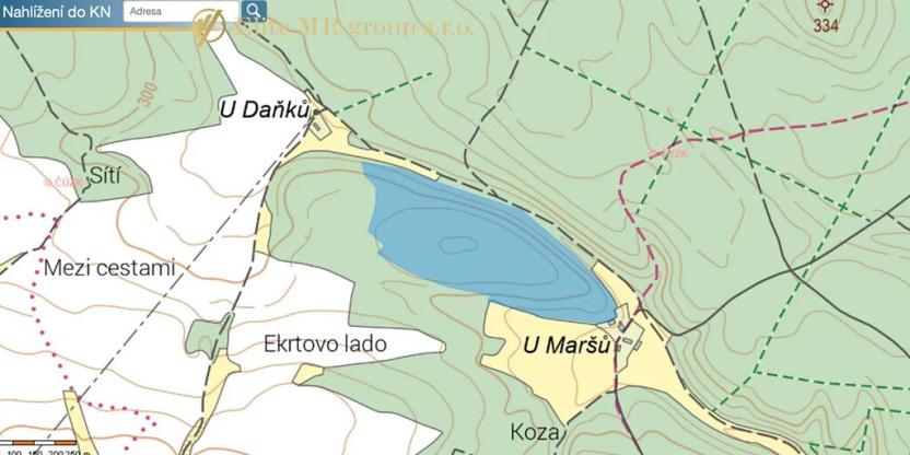 Prodej podílu lesa, Březovice, 36905 m2