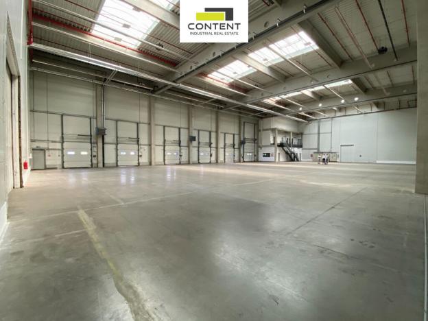 Pronájem skladu, Pardubice - Pardubičky, Průmyslová, 14556 m2