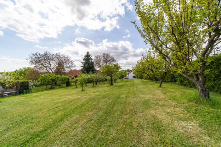 Pronájem chalupy, Dobrovice - Úherce, 180 m2