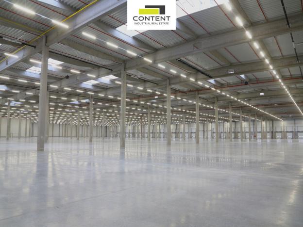 Pronájem skladu, Hladké Životice, Kujavská, 29000 m2