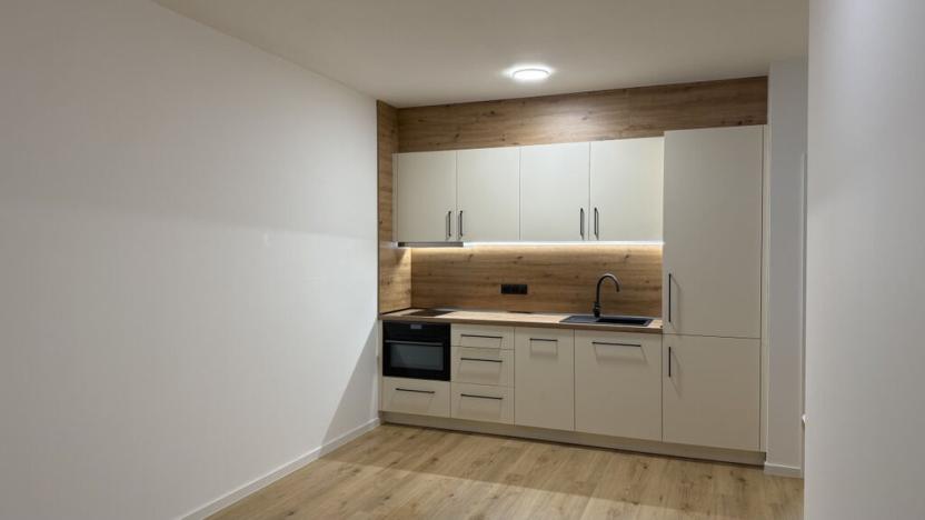 Pronájem bytu 1+kk, České Budějovice - České Budějovice 4, Vrbenská, 39 m2