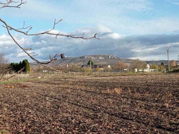 Prodej pozemku pro bydlení, Dolní Dunajovice, 1285 m2