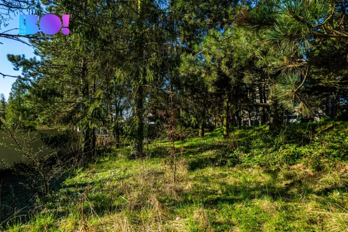 Prodej pozemku pro bydlení, Olomouc - Svatý Kopeček, 1243 m2