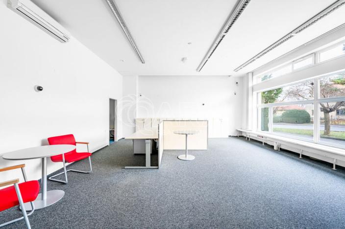 Pronájem obchodního prostoru, Roztoky, Lidická, 143 m2