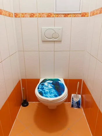 Prodej bytu 2+kk, Vítkov, Budišovská, 50 m2