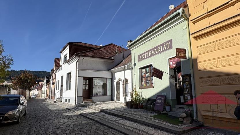 Prodej obchodního prostoru, Sušice - Sušice II, Příkopy, 135 m2