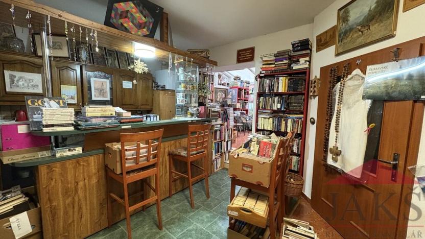 Prodej obchodního prostoru, Sušice - Sušice II, Příkopy, 135 m2