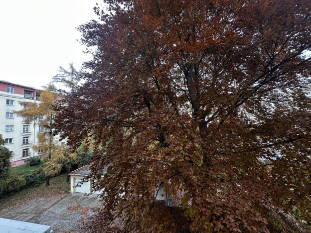 Pronájem bytu 3+1, Praha - Vršovice, Vršovická, 86 m2